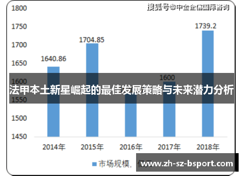 法甲本土新星崛起的最佳发展策略与未来潜力分析