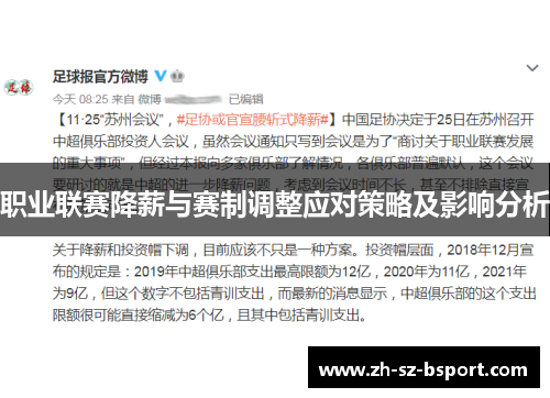 职业联赛降薪与赛制调整应对策略及影响分析